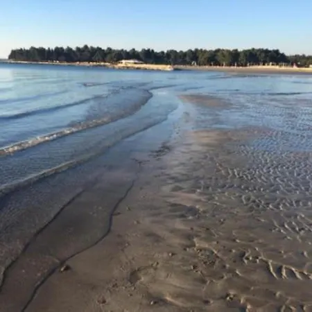 Noel * Umag