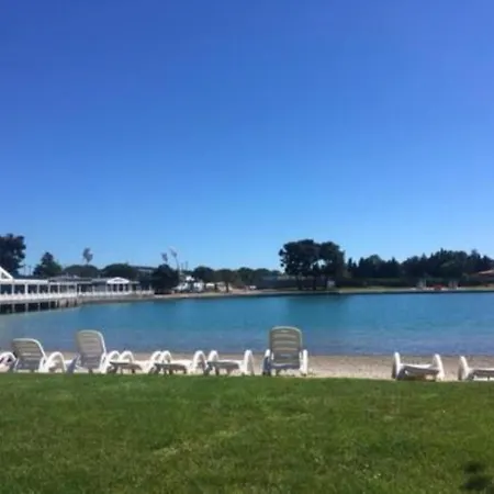 Noel - With Private Pool Apartment Umag